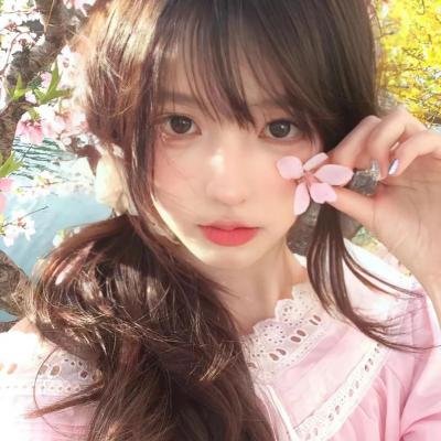 白粉飞 第五季
